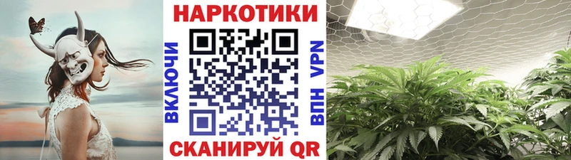 Виды наркотиков купить Карпинск A-PVP  hydra tor  Бошки Шишки  Меф 