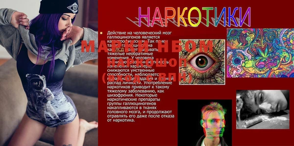 стафф Алексин