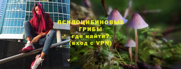 ECSTASY Абинск