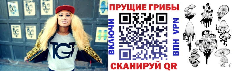 сколько стоит  Карпинск  Псилоцибиновые грибы мицелий 